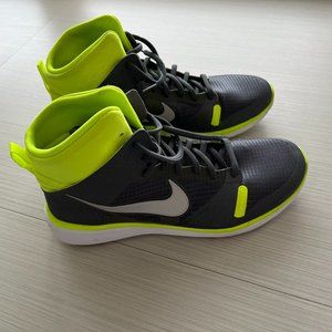 Ultra Modern Dunks